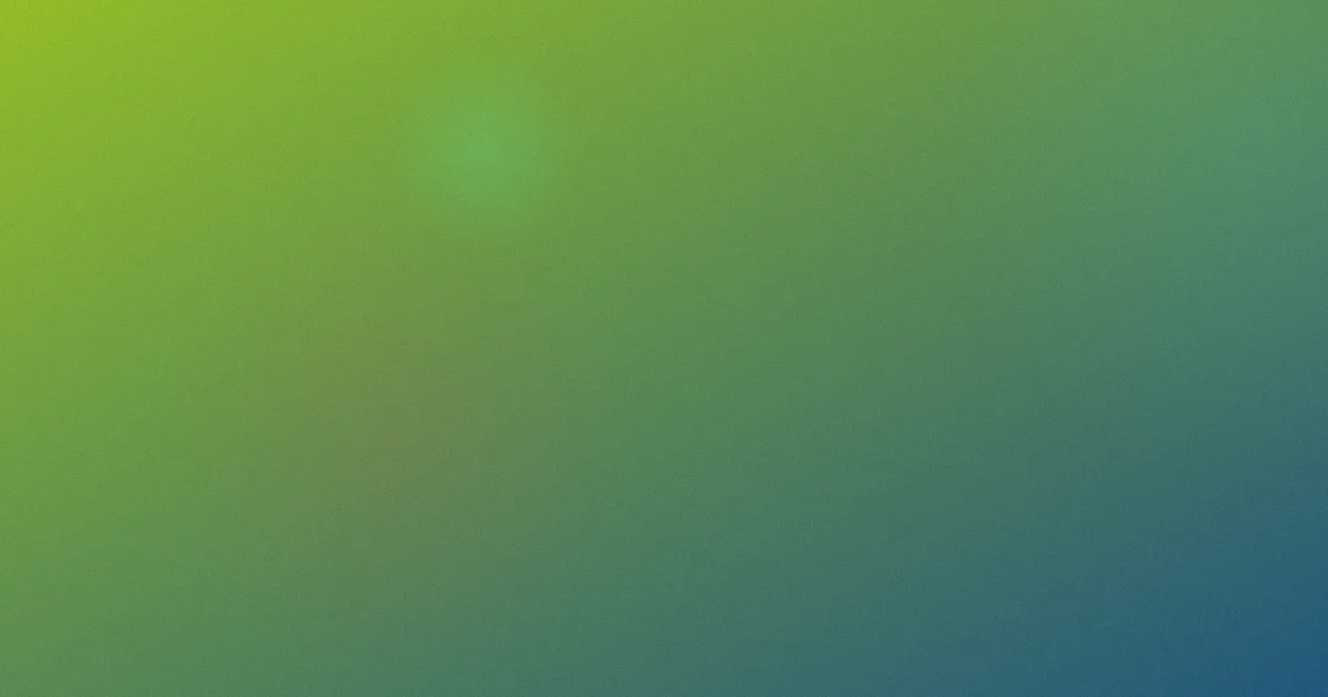 a在线观看视频怎么用：实测对比